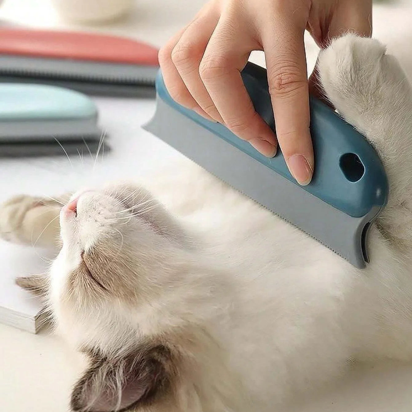 Pet Hair Remover - For a clean and tidy home
