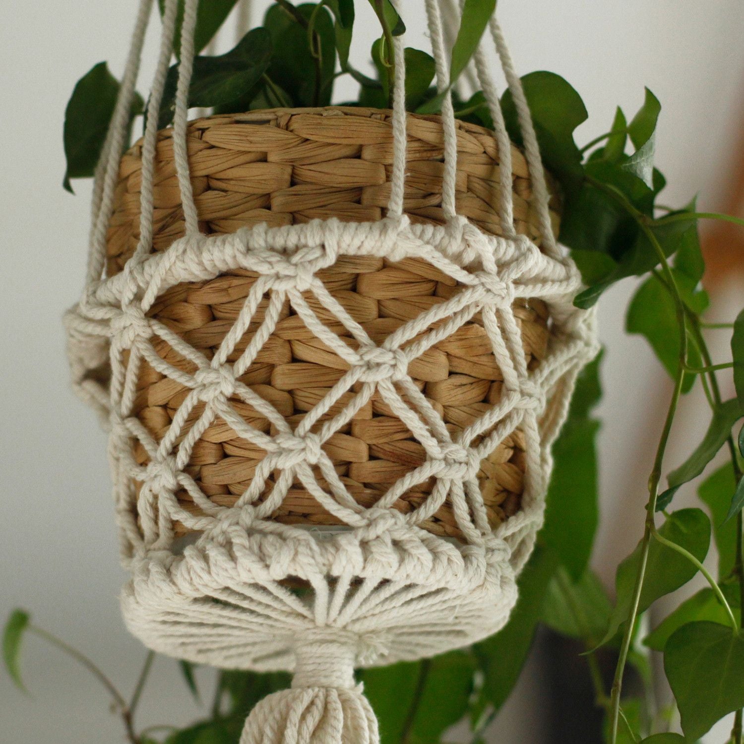 Woven basket with macrame hanging plant holder against a neutral background