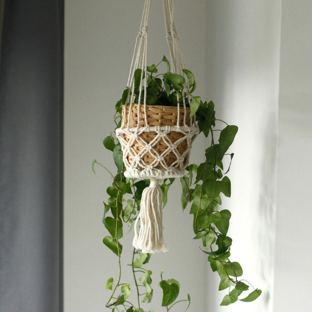 Macrame plant hanger with a woven basket holding a plant against a neutral background