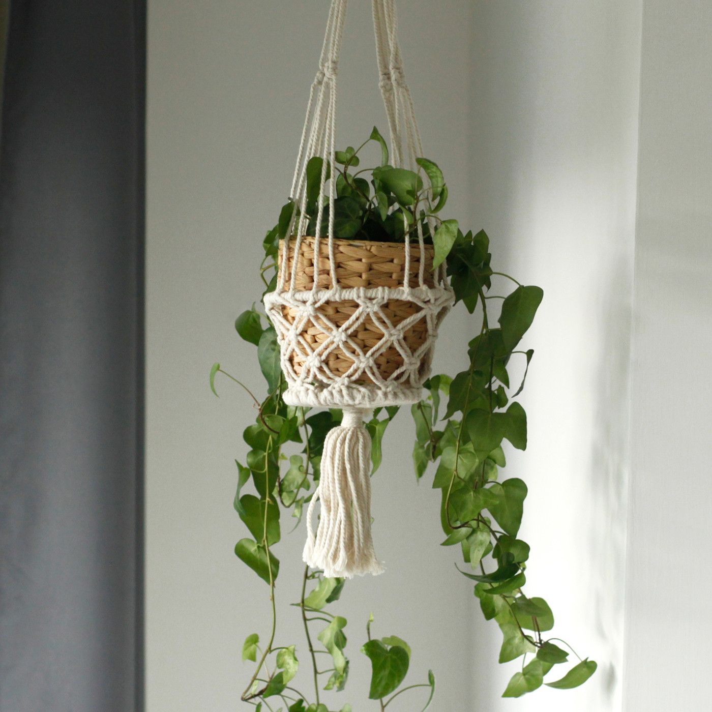 Macrame plant hanger with a woven basket holding a plant against a neutral background