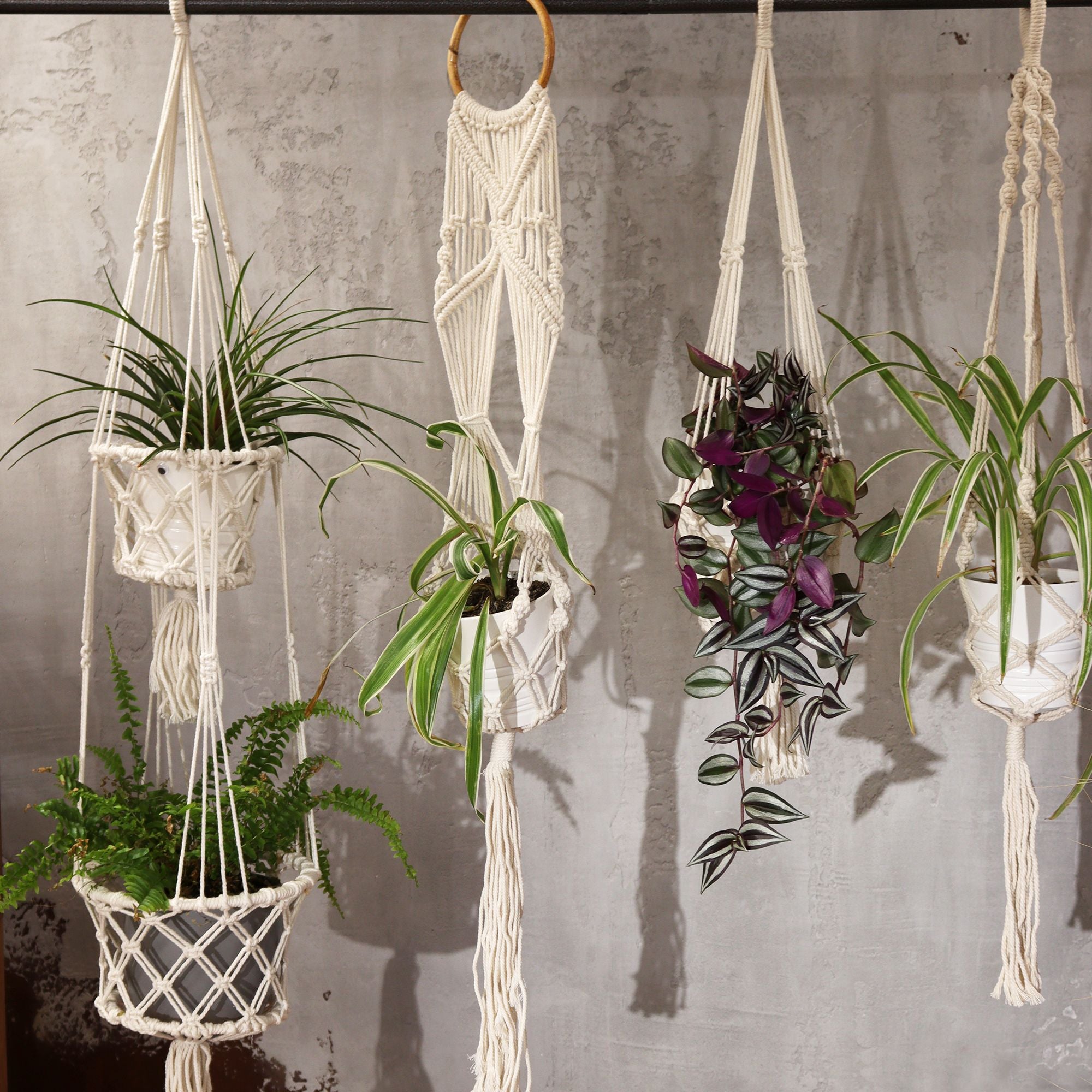 Set of macrame plant hangers with plants against a gray wall.