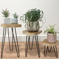 Three small wooden side tables with planters on a plain background
