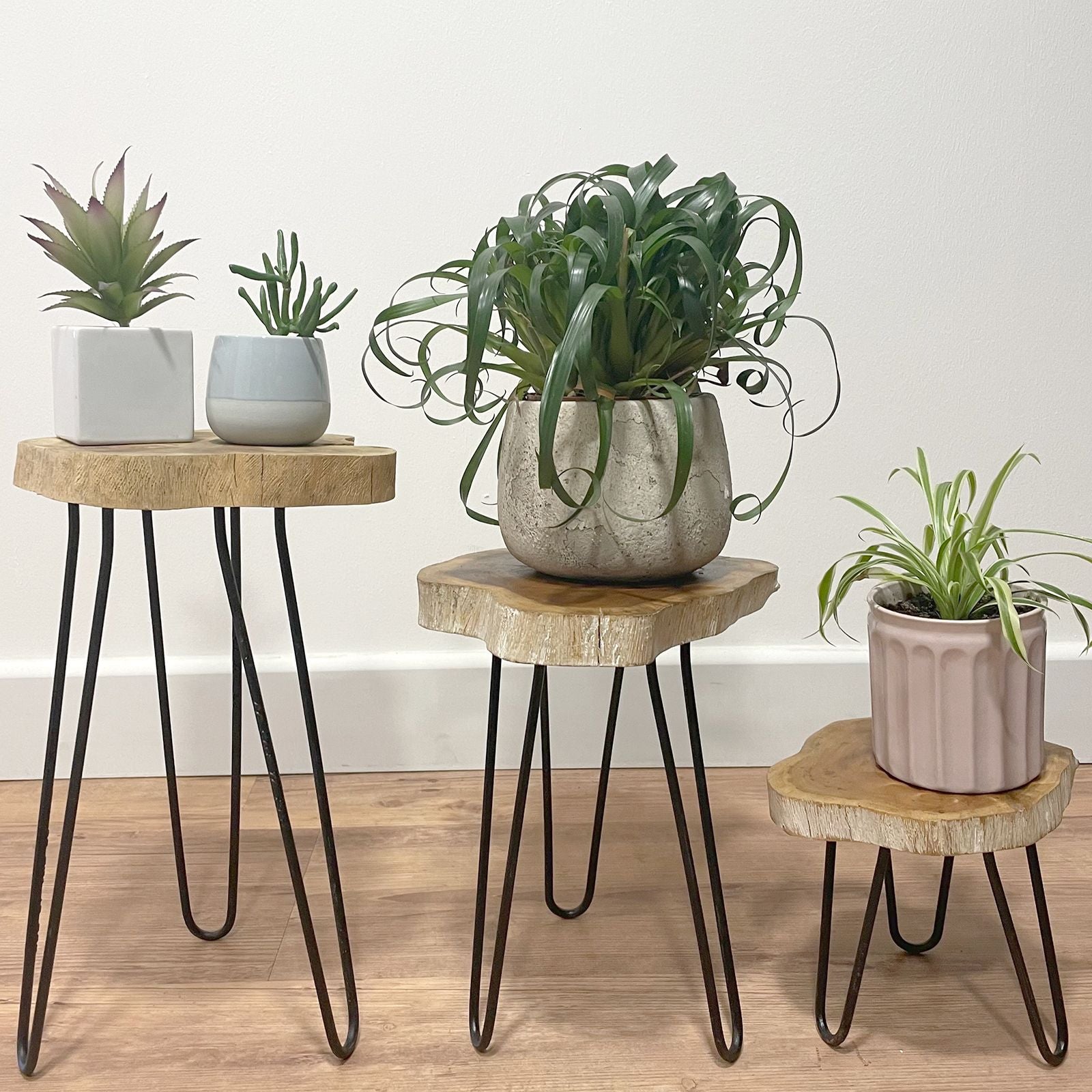 Three small wooden side tables with planters on a plain background
