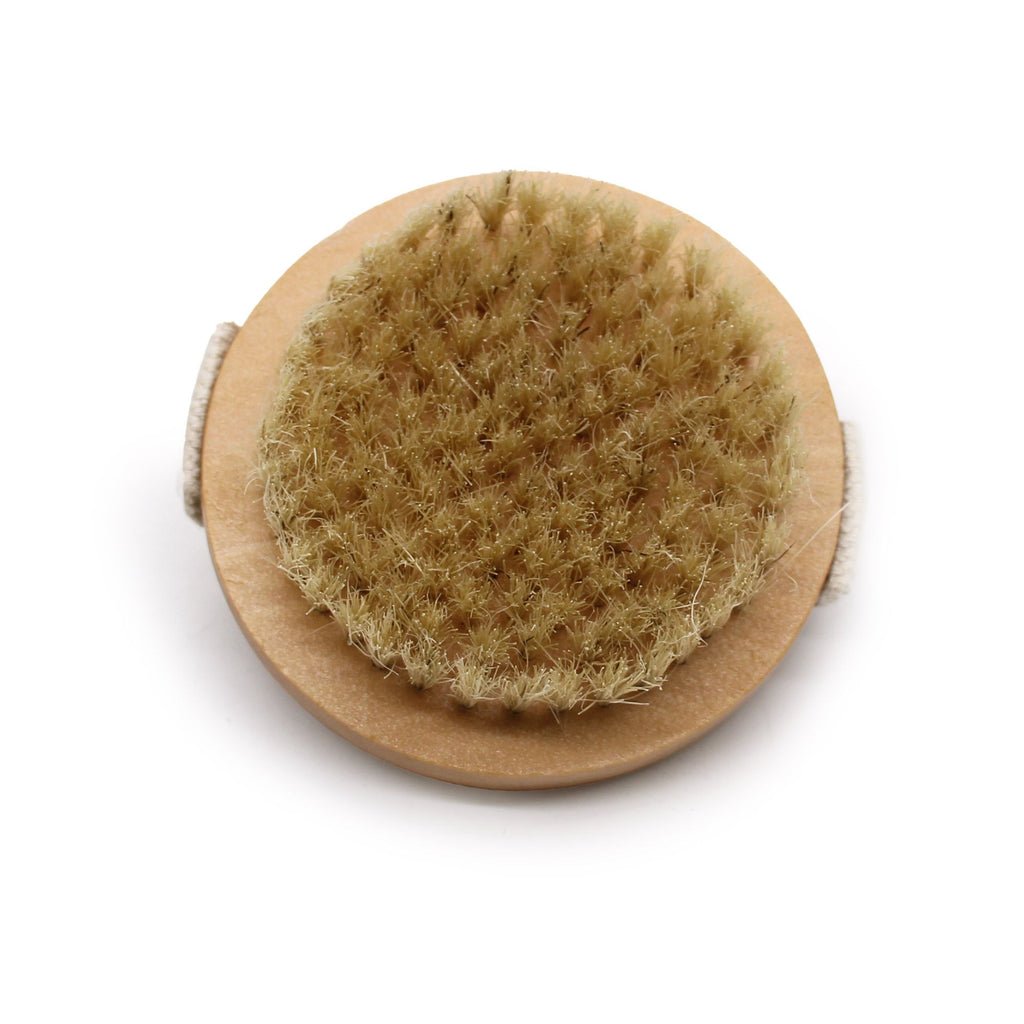 Round natural bristle brush on a white background