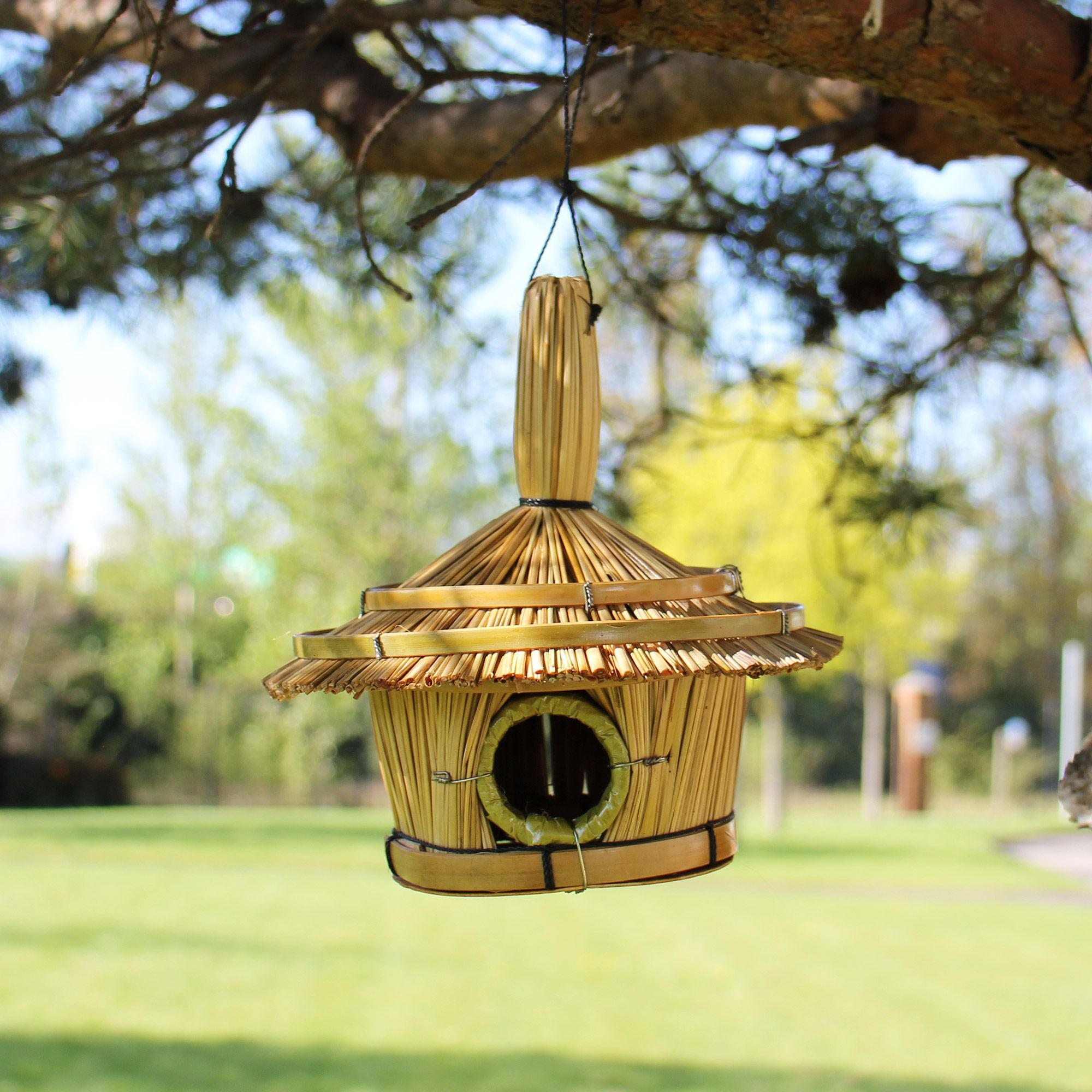 🐦 Bird‑Friendly Design – Cozy nesting space for small garden birds
🌿 Natural Seagrass Material – Eco‑friendly, breathable and durable
✋ Handwoven Look – Each piece has a unique, natural finish
🏡 Indoor & Outdoor Décor – Ideal for gardens, balconies and terraces
🪶 Lightweight & Easy to Hang – No tools required
🎁 Perfect Nature Gift – Great for gardeners and bird lovers
