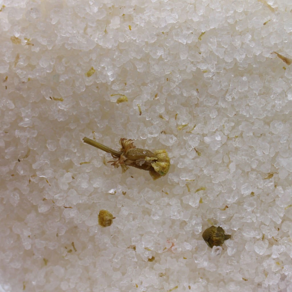 Small plant-like object on a sandy surface