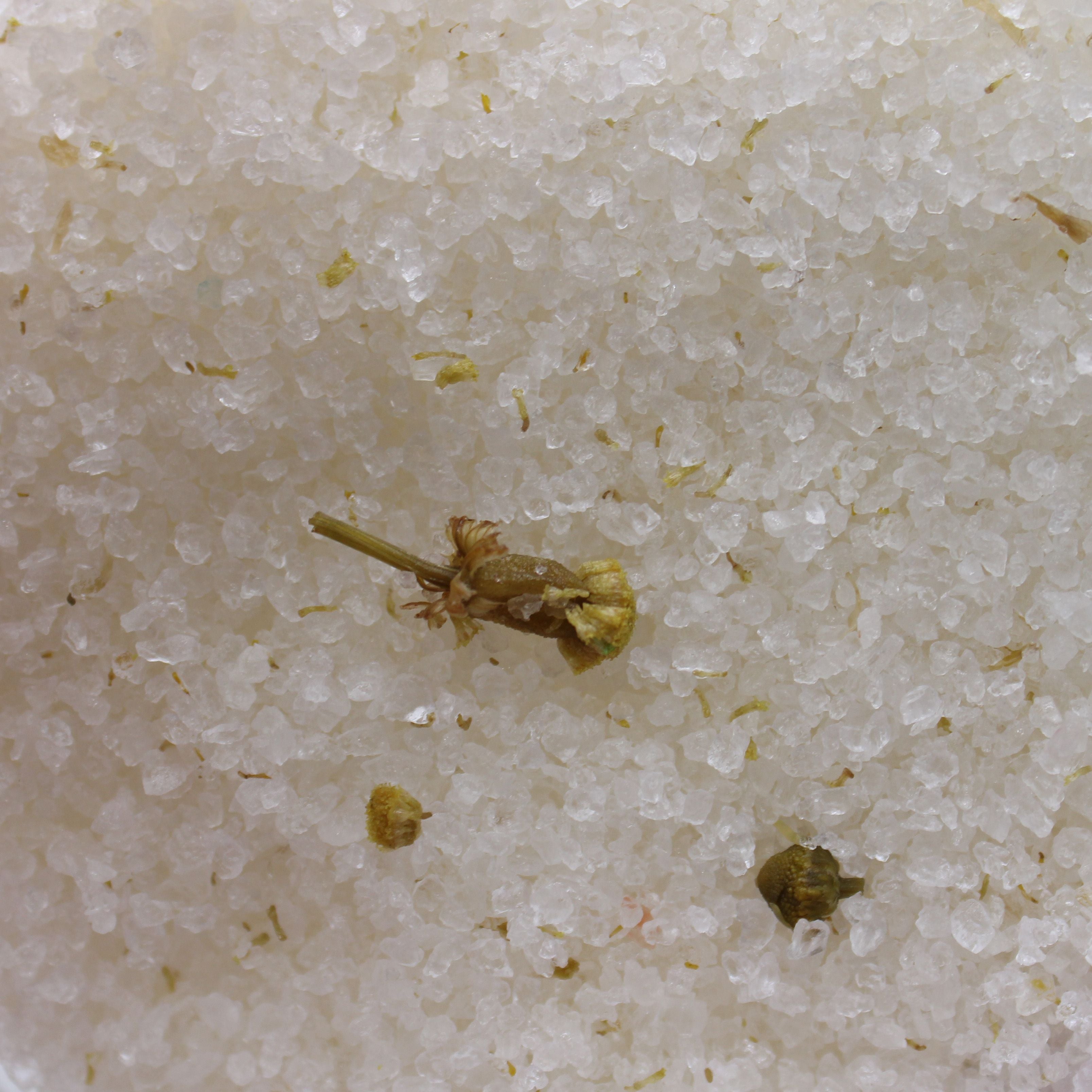 Small plant-like object on a sandy surface