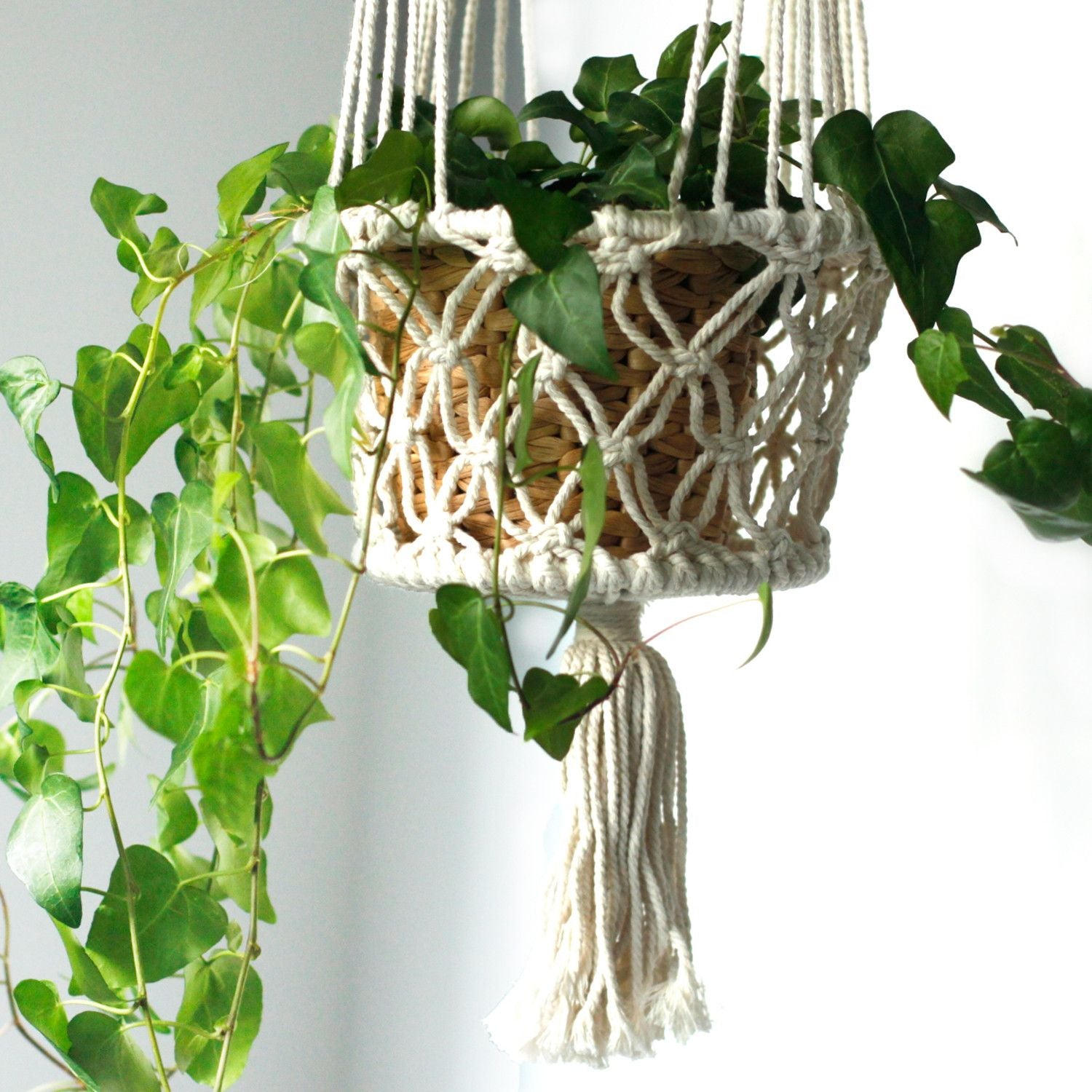 Macrame plant hanger with a woven basket holding a plant against a white background