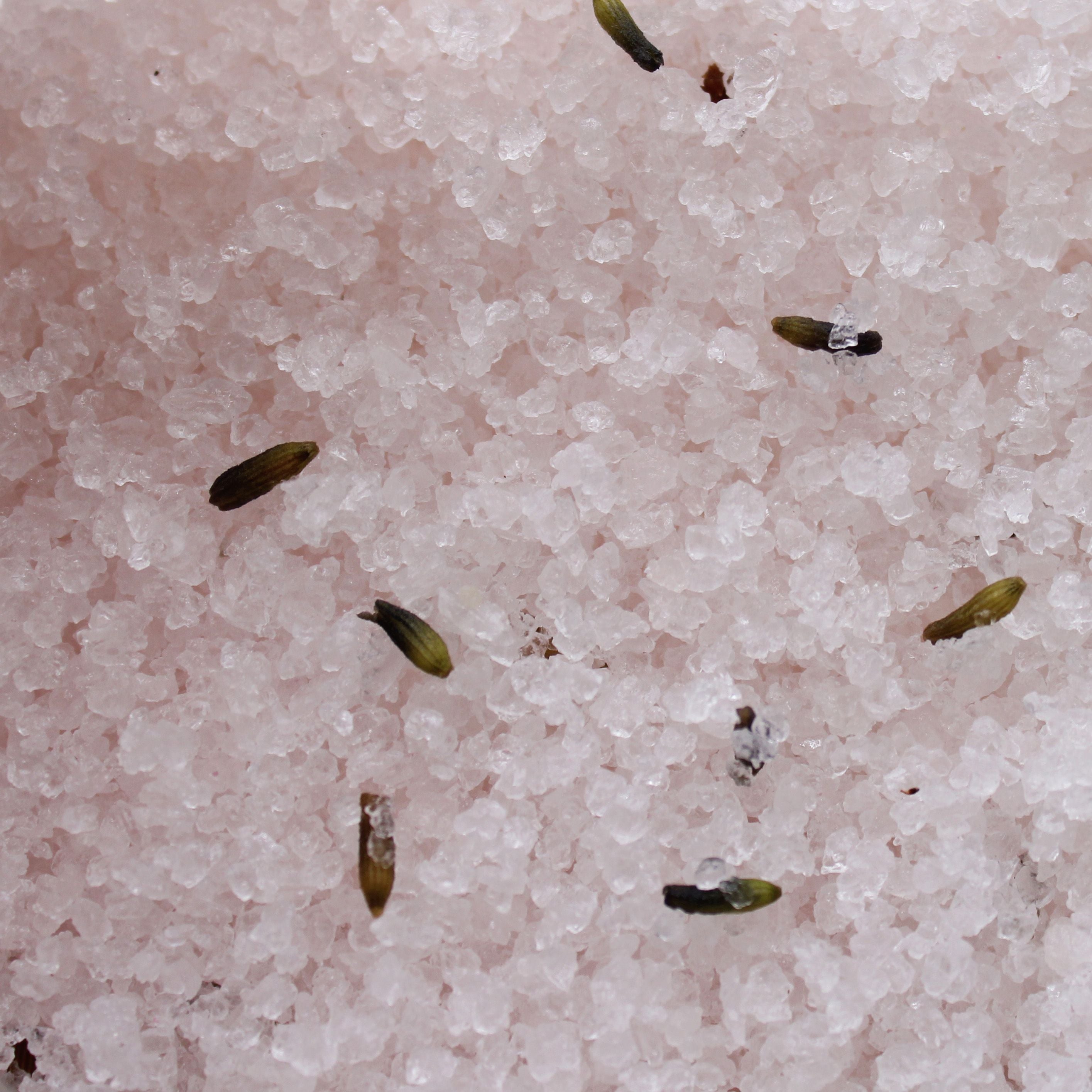 Small seeds or sprouts on a pinkish surface