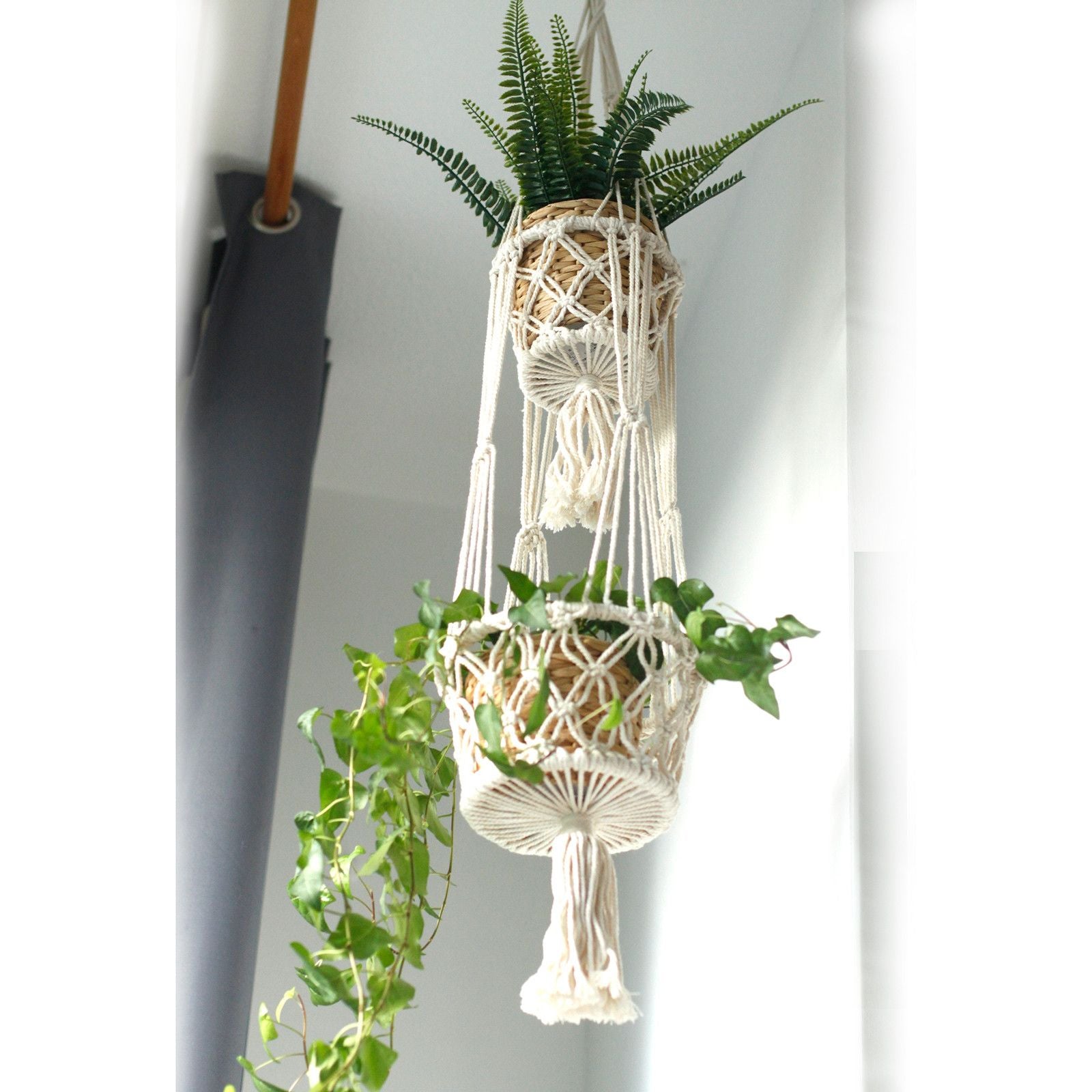 Macrame plant hanger with plants against a white wall
