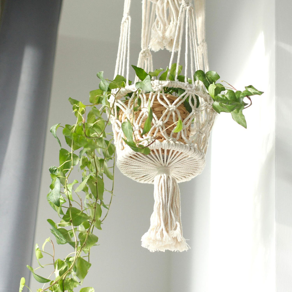 Macrame plant hanger with a plant against a neutral background