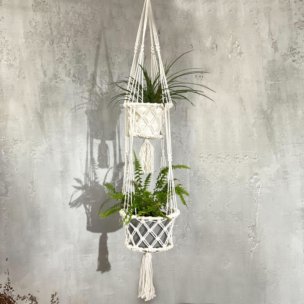 Macrame plant hanger with plants against a textured wall