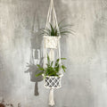 Macrame plant hanger with plants against a textured wall