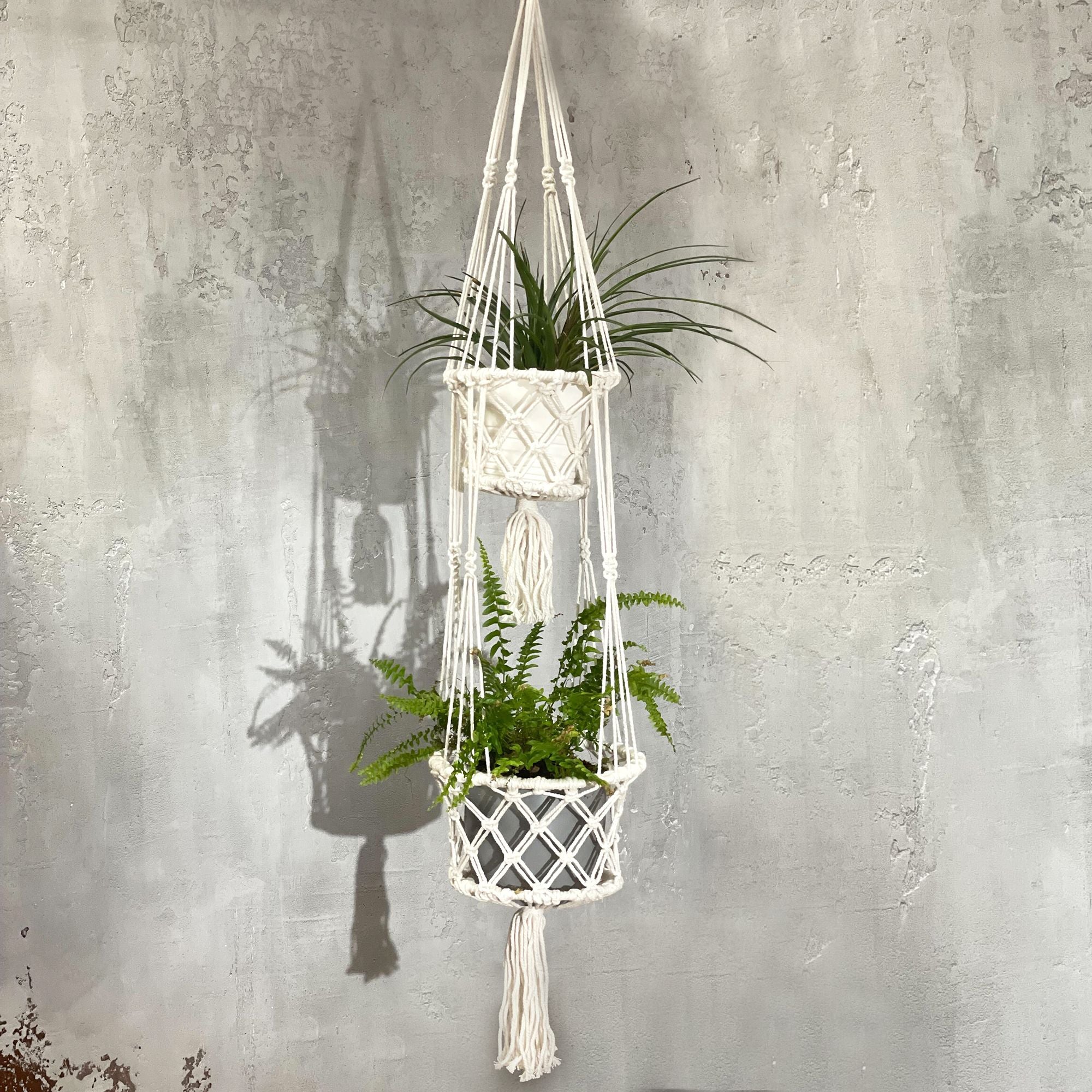 Macrame plant hanger with plants against a textured wall