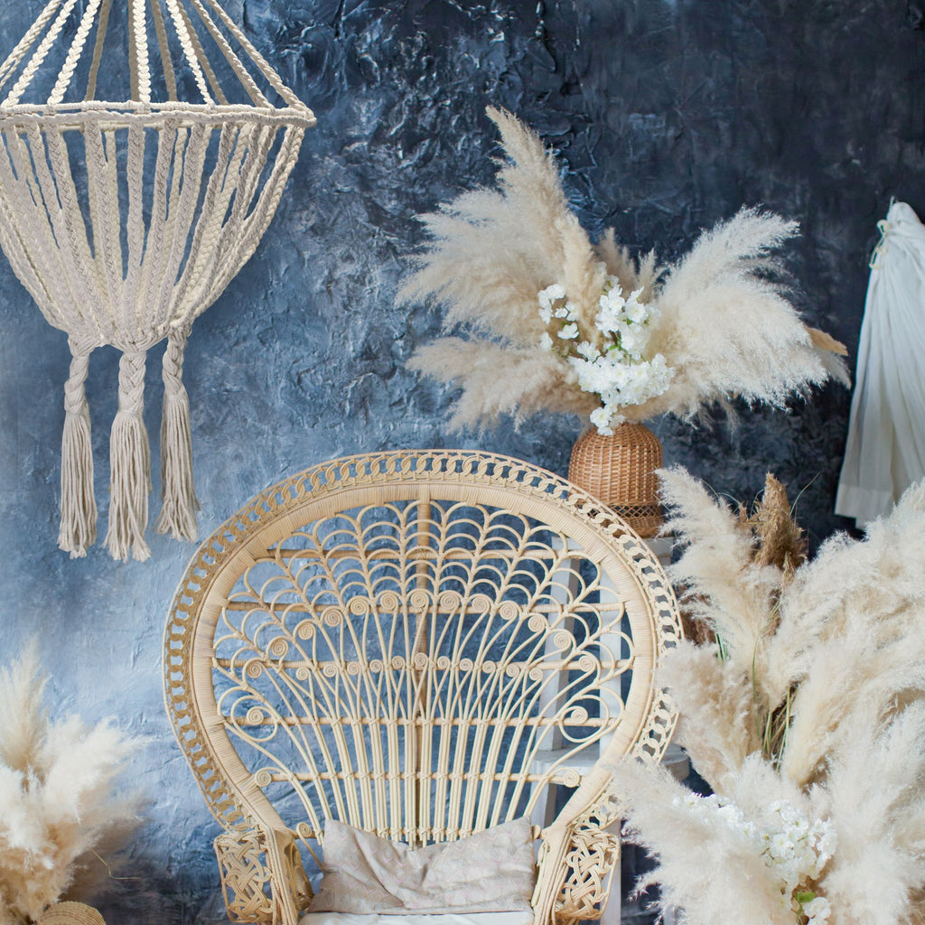 Decorative peacock chair with pampas grass and macrame hanging against a textured blue wall.