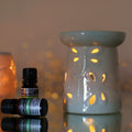 Aromatherapy diffuser with essential oil bottles on a reflective surface with a blurred background