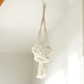 Macrame plant hanger hanging against a plain wall