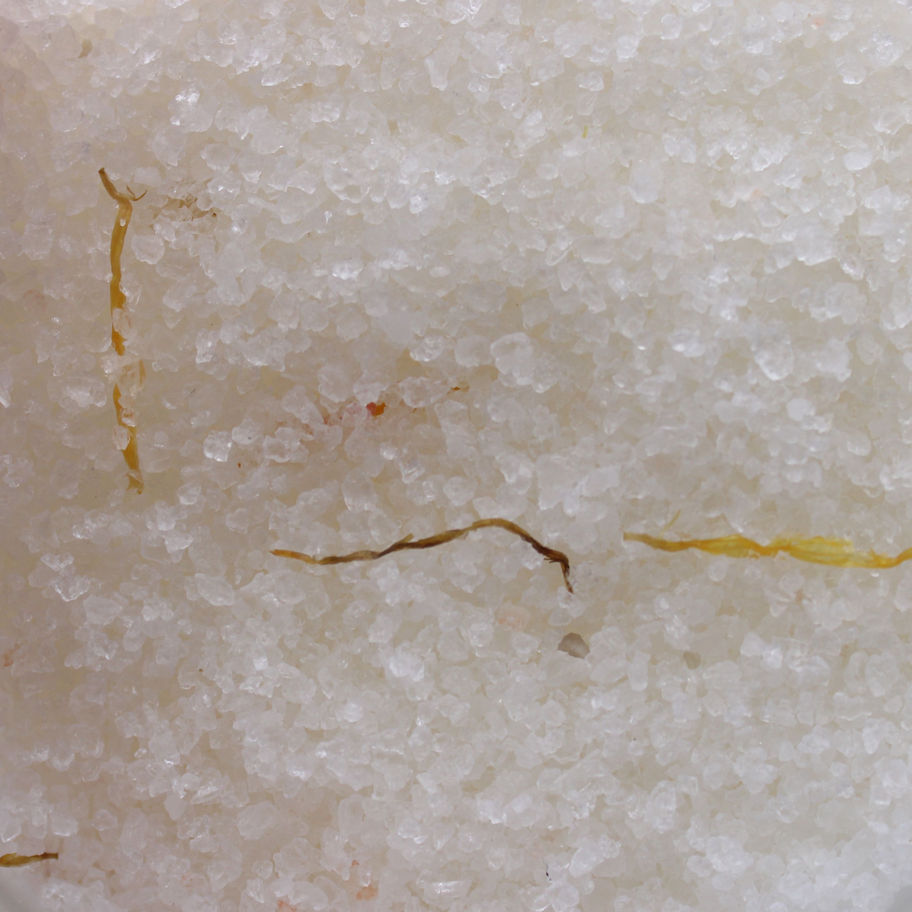 Close-up of light-colored sand with small debris on a textured surface