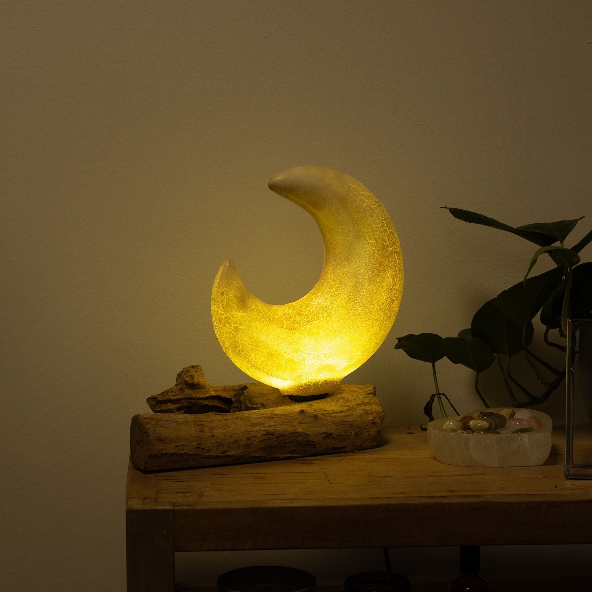 Moon-shaped lamp on a wooden surface with a plant in the background