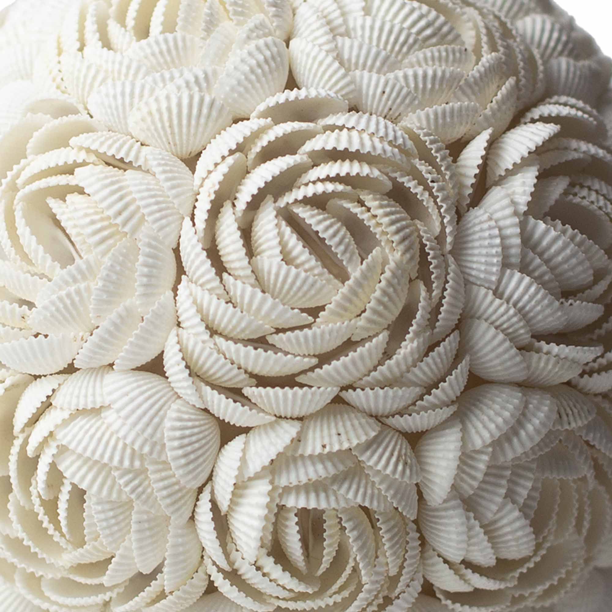 Close-up of white seashells arranged in a decorative pattern