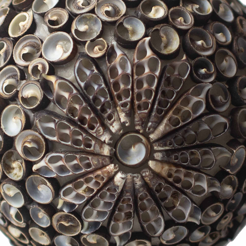 Close-up of a decorative object with a central floral design and smaller circular patterns.